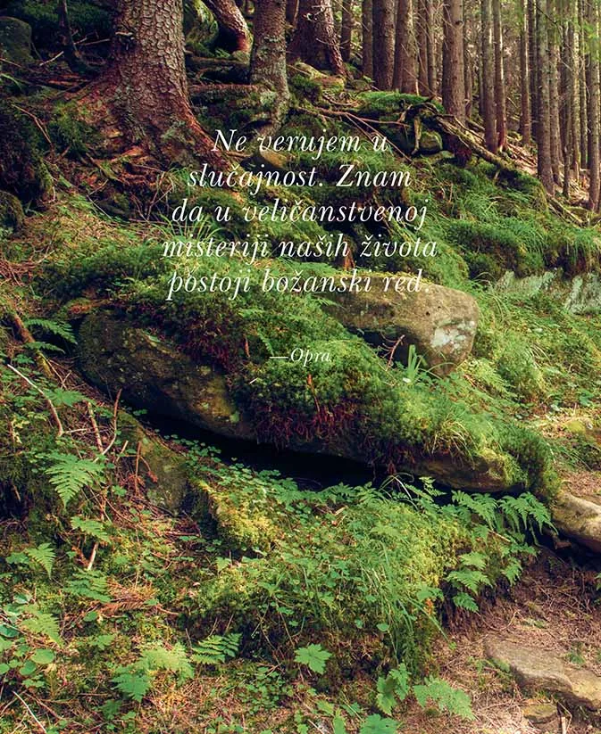 0225-otkrijte-svrhu-i-cilj-svog-zivota-1612442593.jpg