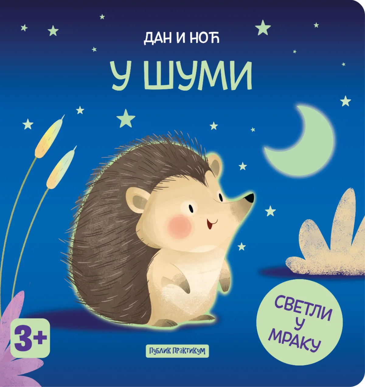 Dan i noć - U šumi
