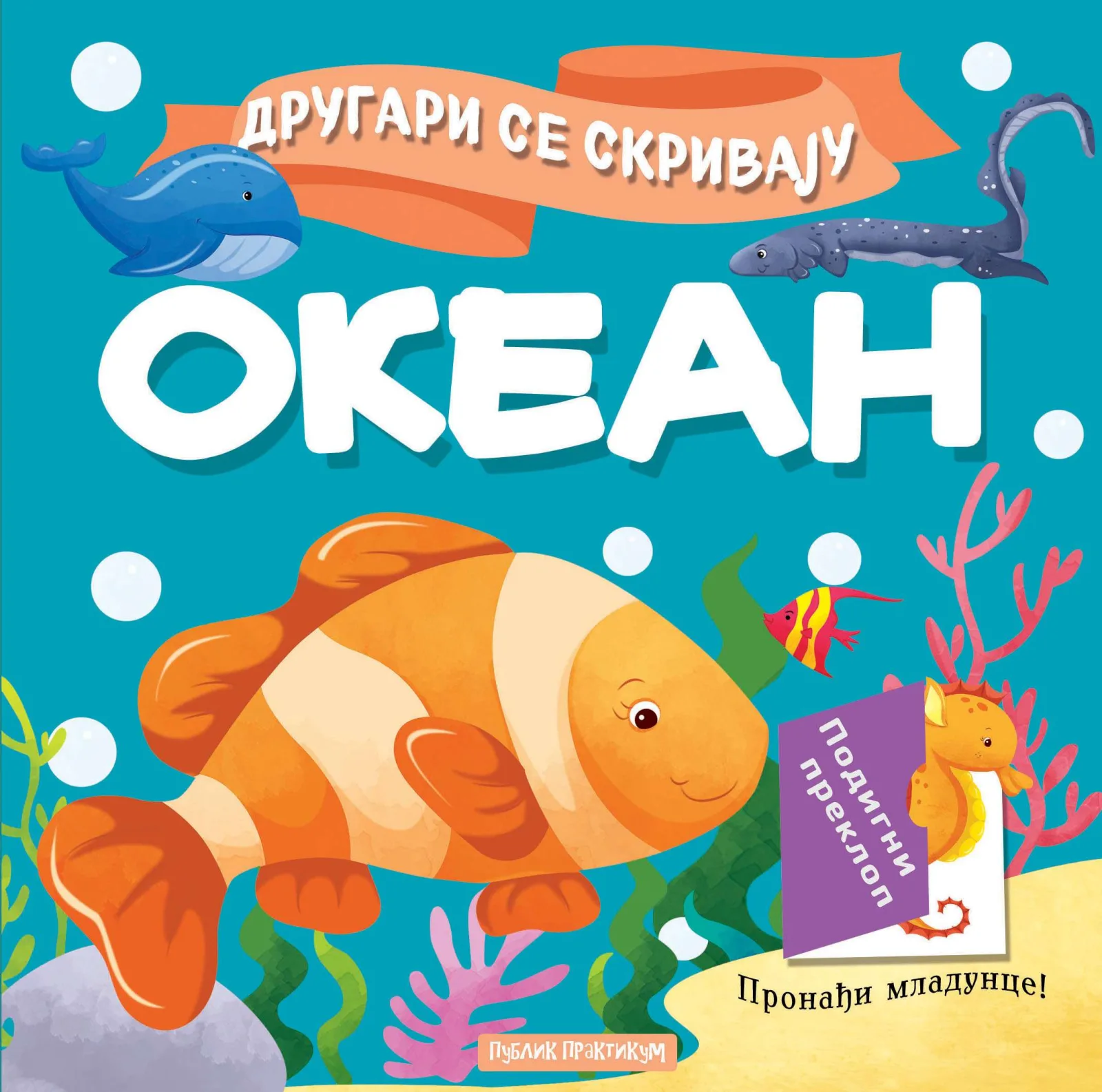 Drugari se skrivaju - Okean
