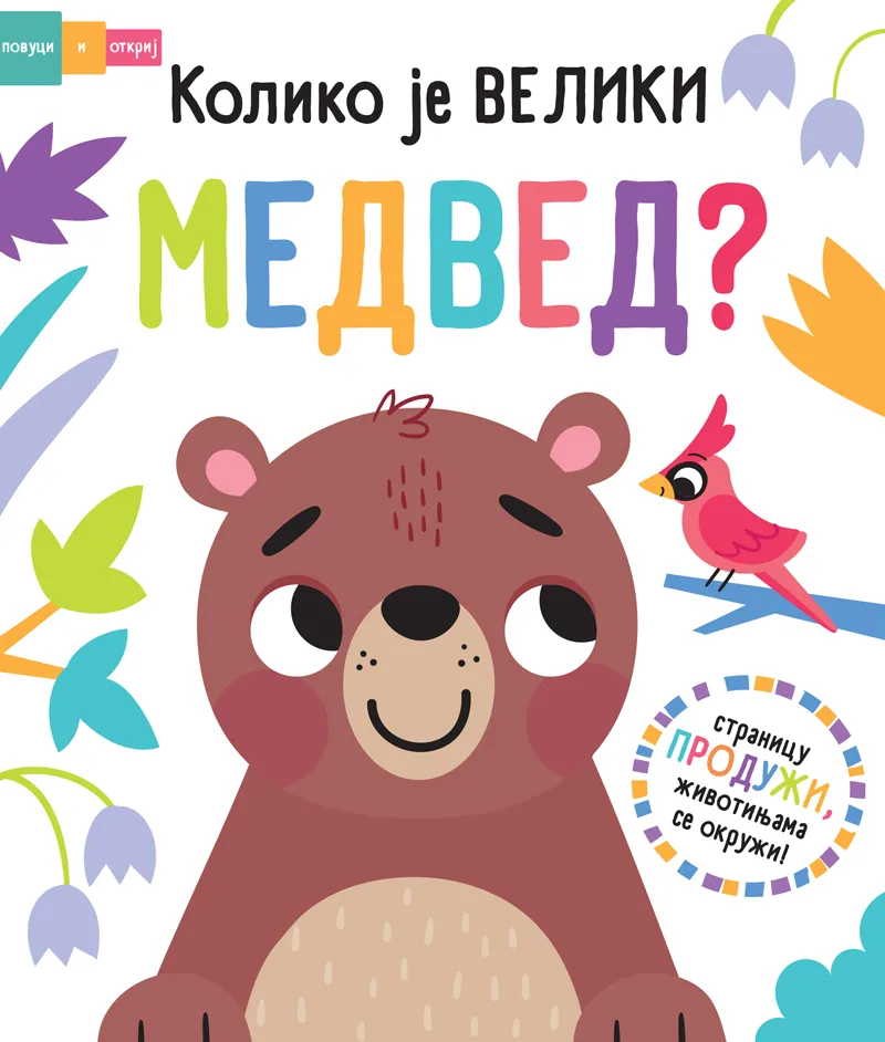 Povuci i otkrij - Koliko je veliki medved?